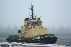 MG_5437